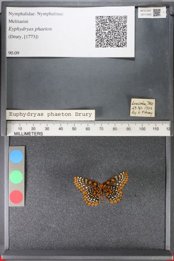 Media type: image;   Entomology 111600